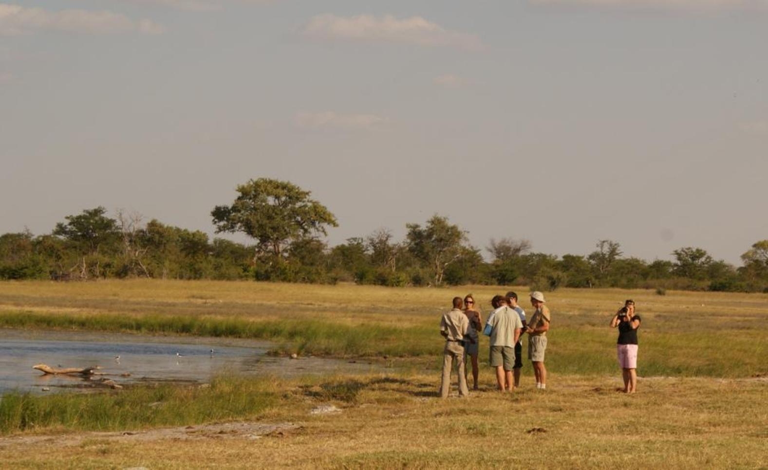 1580x970 Botswana Archives African Safaris, Desktop