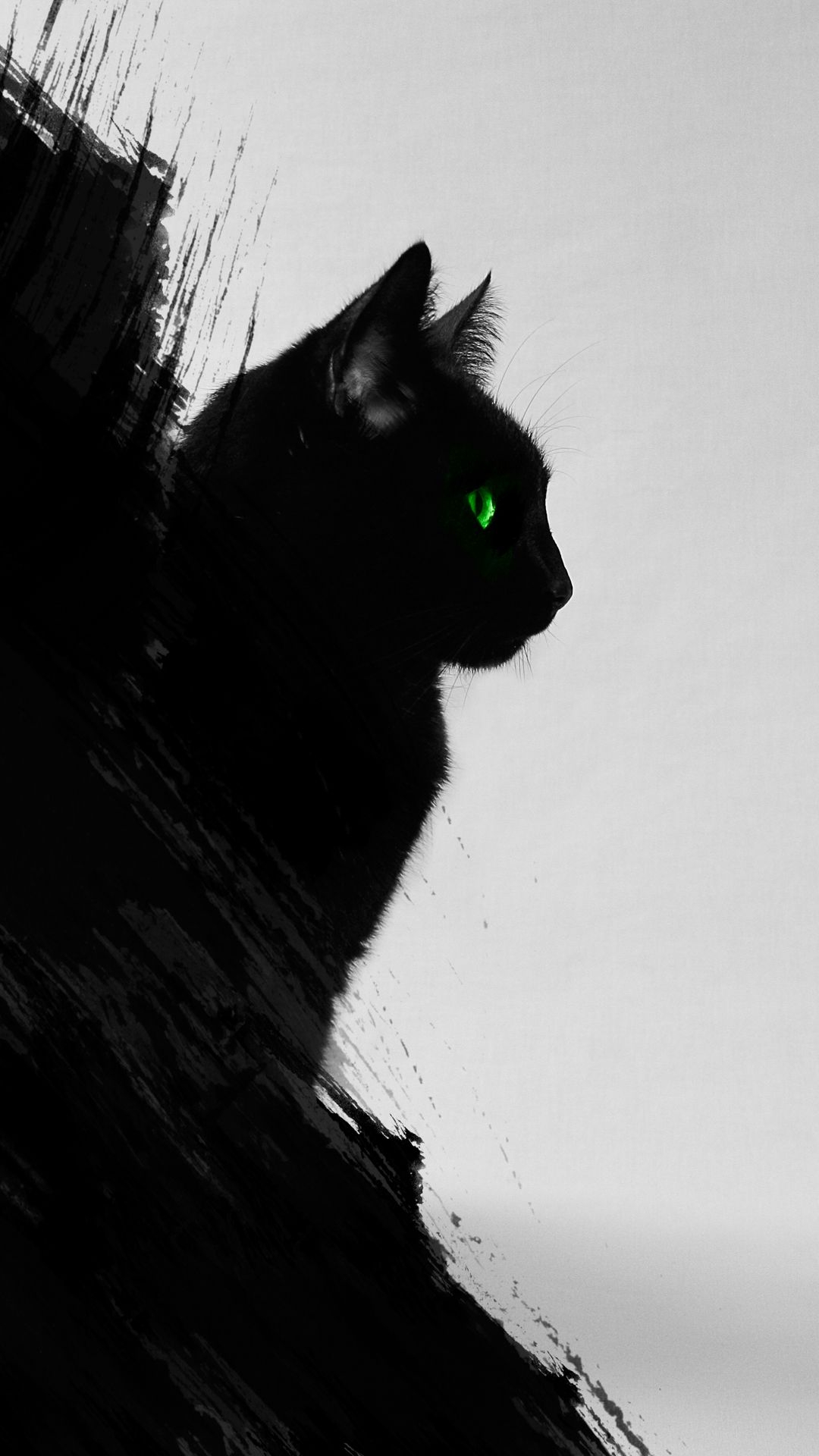 1080x1920 Black Cat iPhone Wallpaper Free Black Cat iPhone Background, Phone