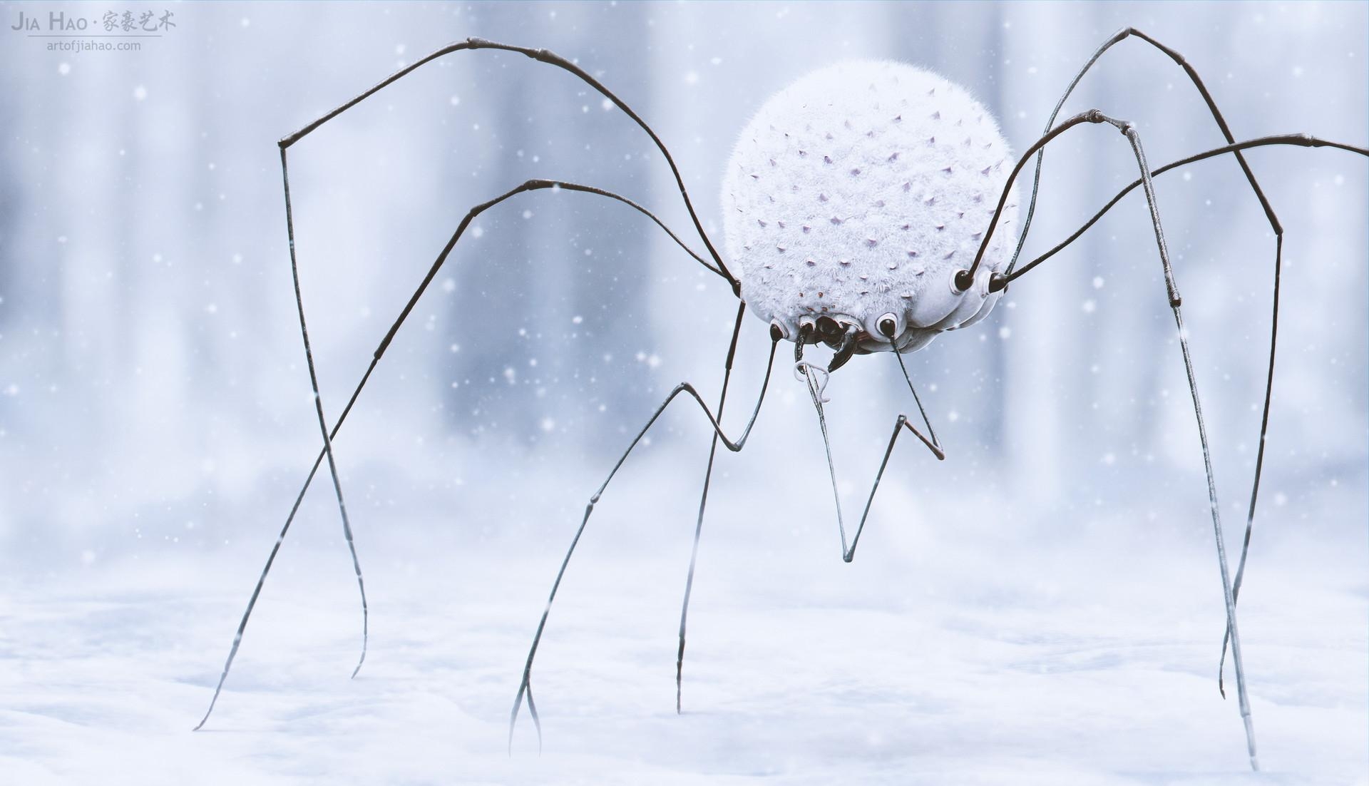 1920x1110 Snow Spider [], Desktop