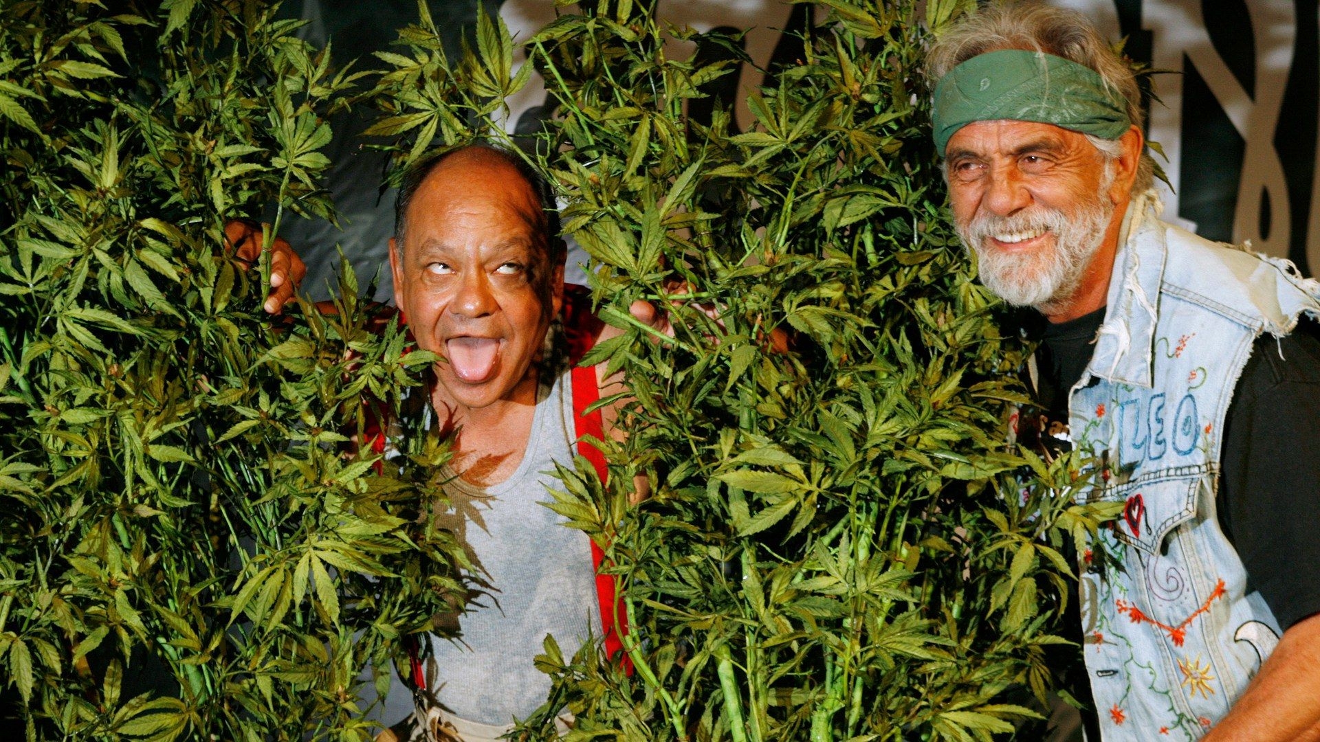 1920x1080 Cheech And Chong Wallpaper, Desktop