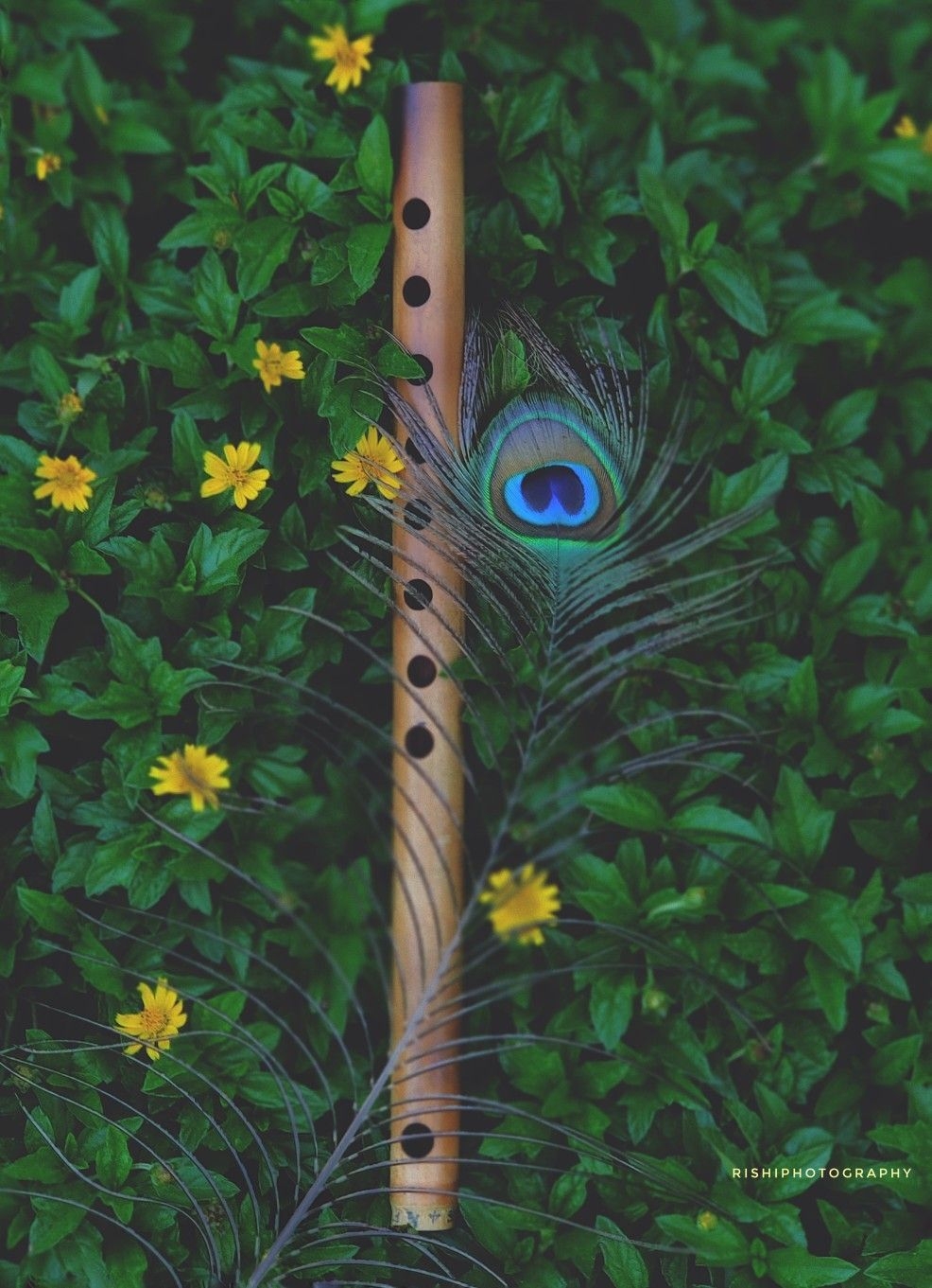 990x1370 Beautiful peacock feather and fruit. Krishna wallpaper, Feather wallpaper, Lord krishna HD wallpaper, Phone