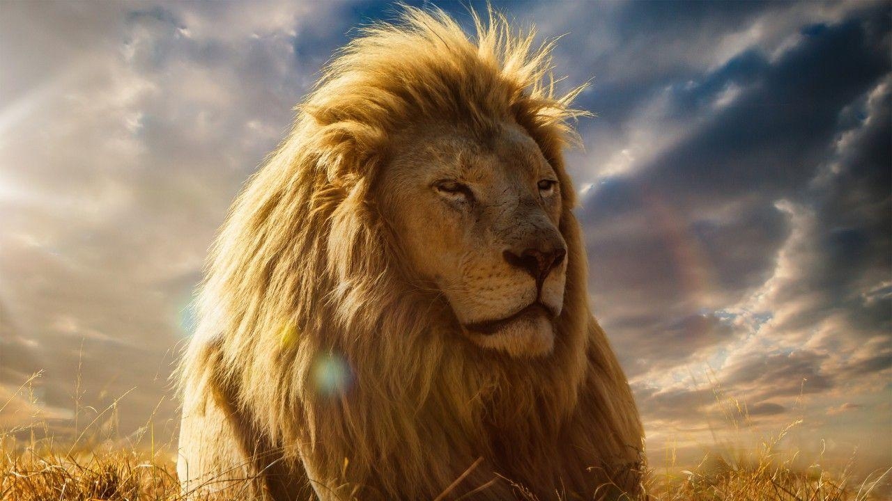 1280x720 Wallpaper Lion King, 4K, Movies, Desktop