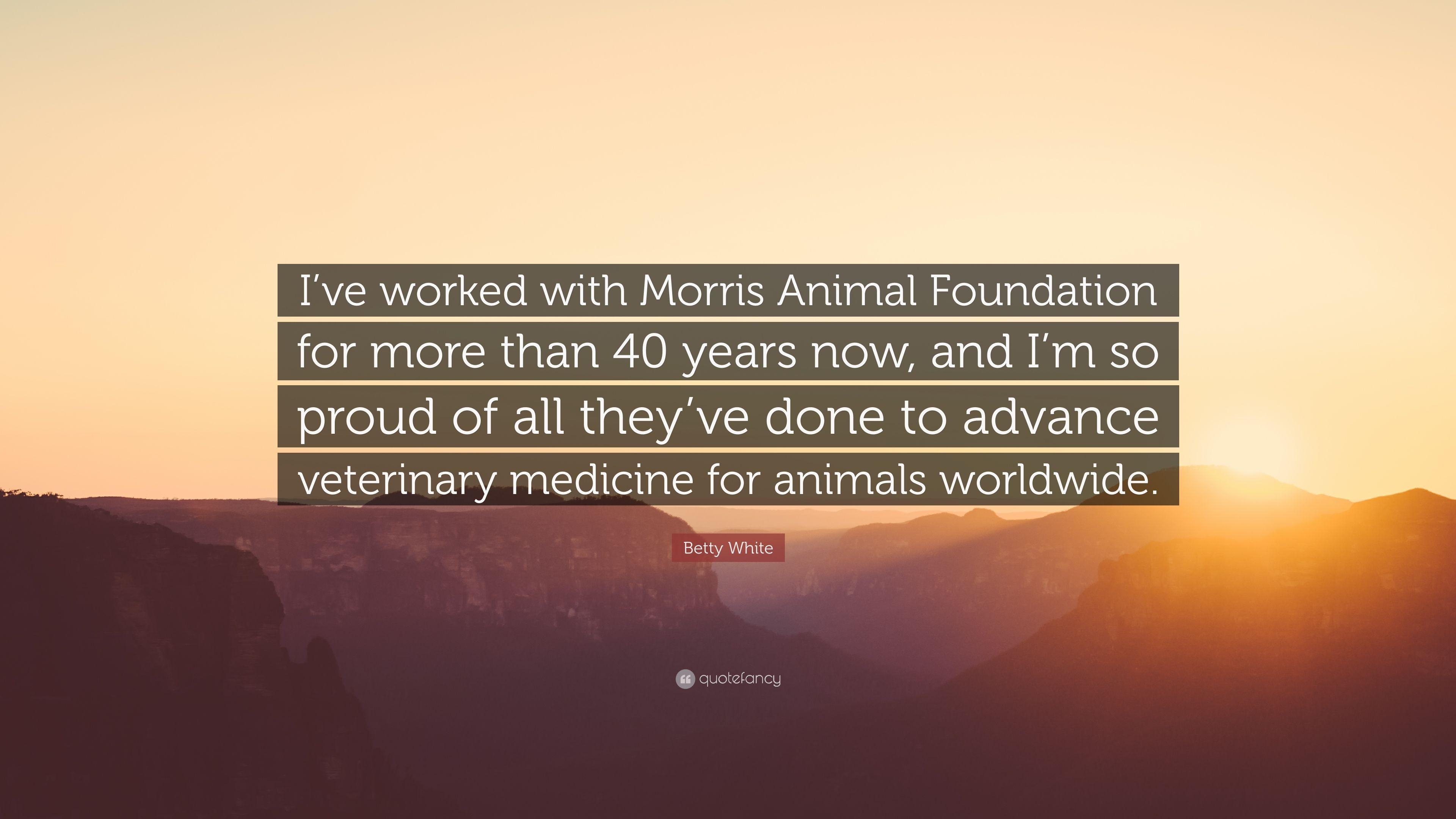 3840x2160 Betty White Quote: “I've worked with Morris Animal Foundation, Desktop