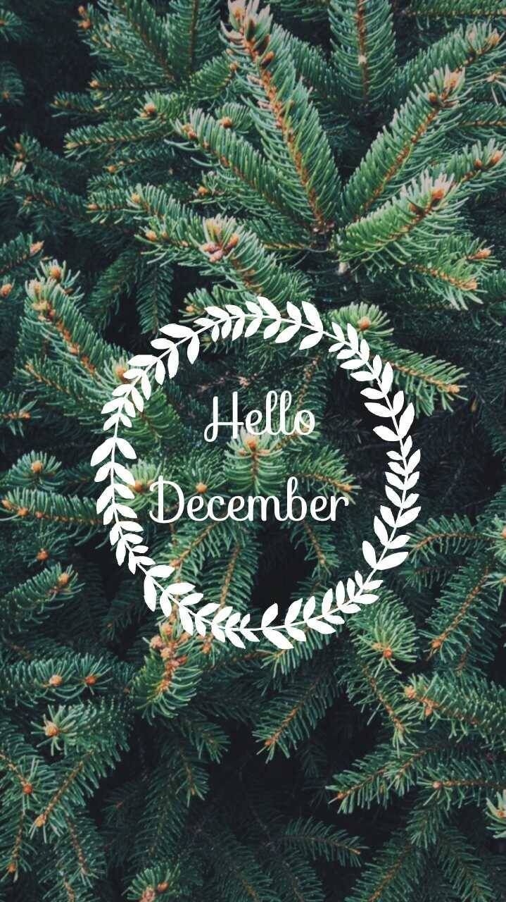 720x1280 Welcome Story. December wallpaper, Winter wallpaper, Christmas aesthetic, Phone