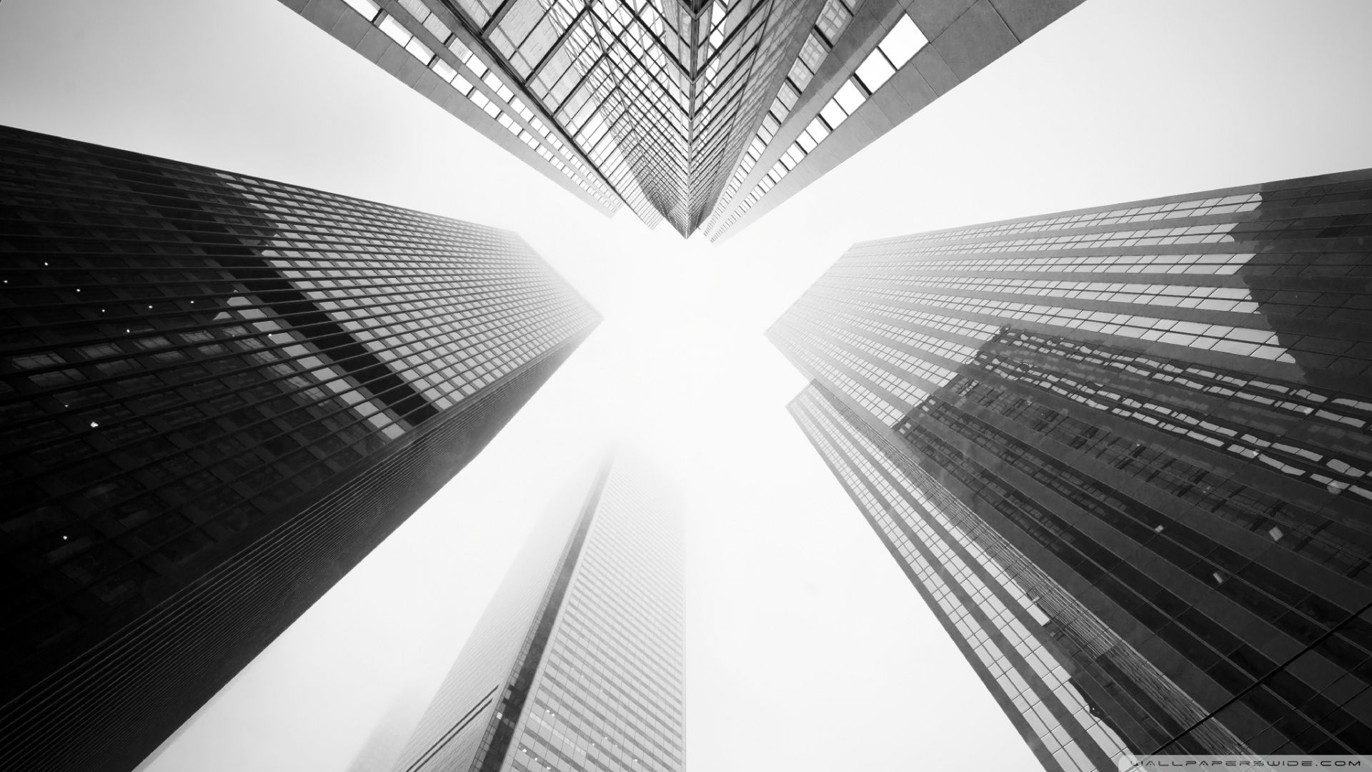 1920x1080 Toronto Skyscrapers Black and White Ultra HD Desktop Background, Desktop