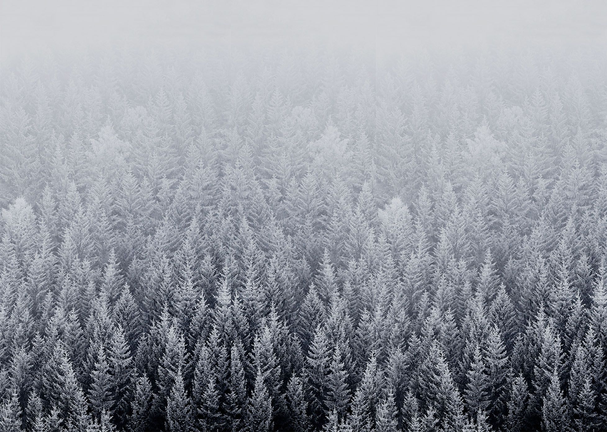 1960x1400 Desktop Background Aesthetic Winter, Desktop