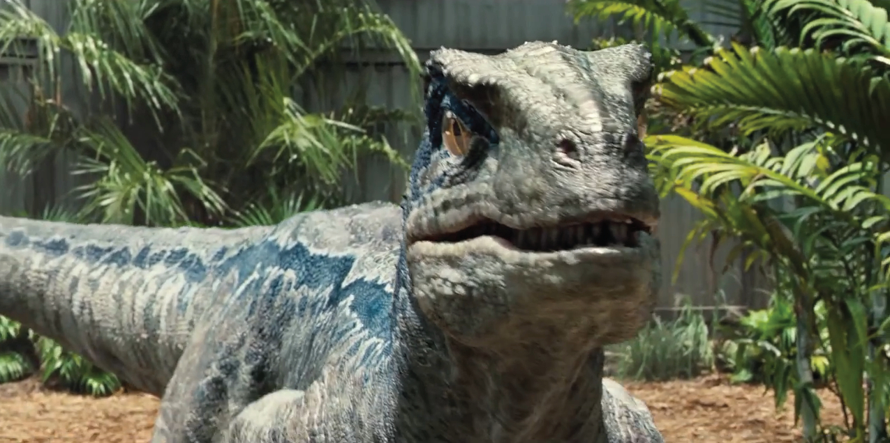 1280x640 Free download Jurassic World Velociraptor Raptor Blue [] for your Desktop, Mobile & Tablet. Explore Jurassic World Velociraptor Wallpaper. Jurassic World Velociraptor Wallpaper, Jurassic World Wallpaper, Jurassic World Desktop Wallpaper, Dual Screen