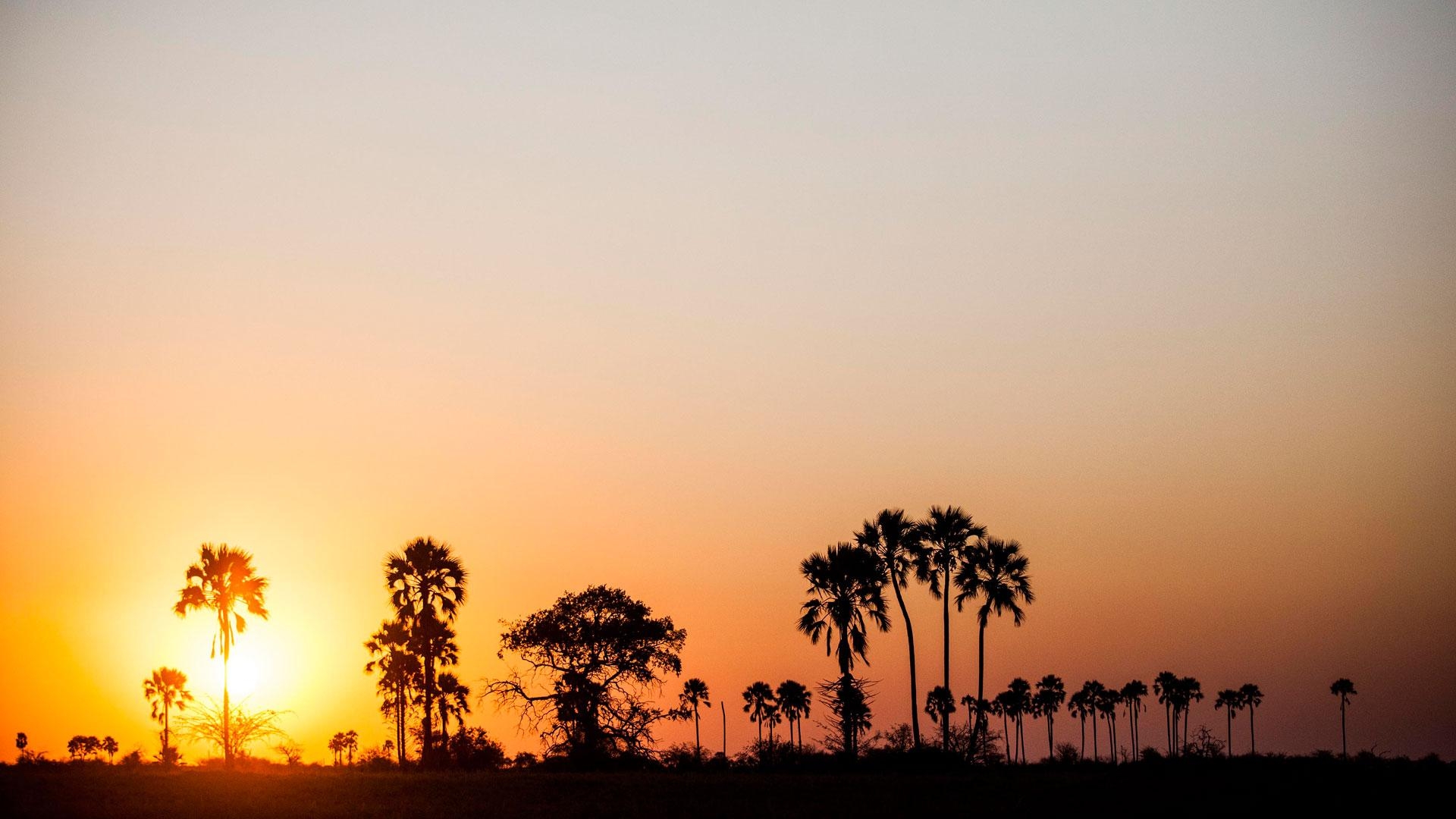 1920x1080 Makgadikgadi Pans World Safaris, Desktop