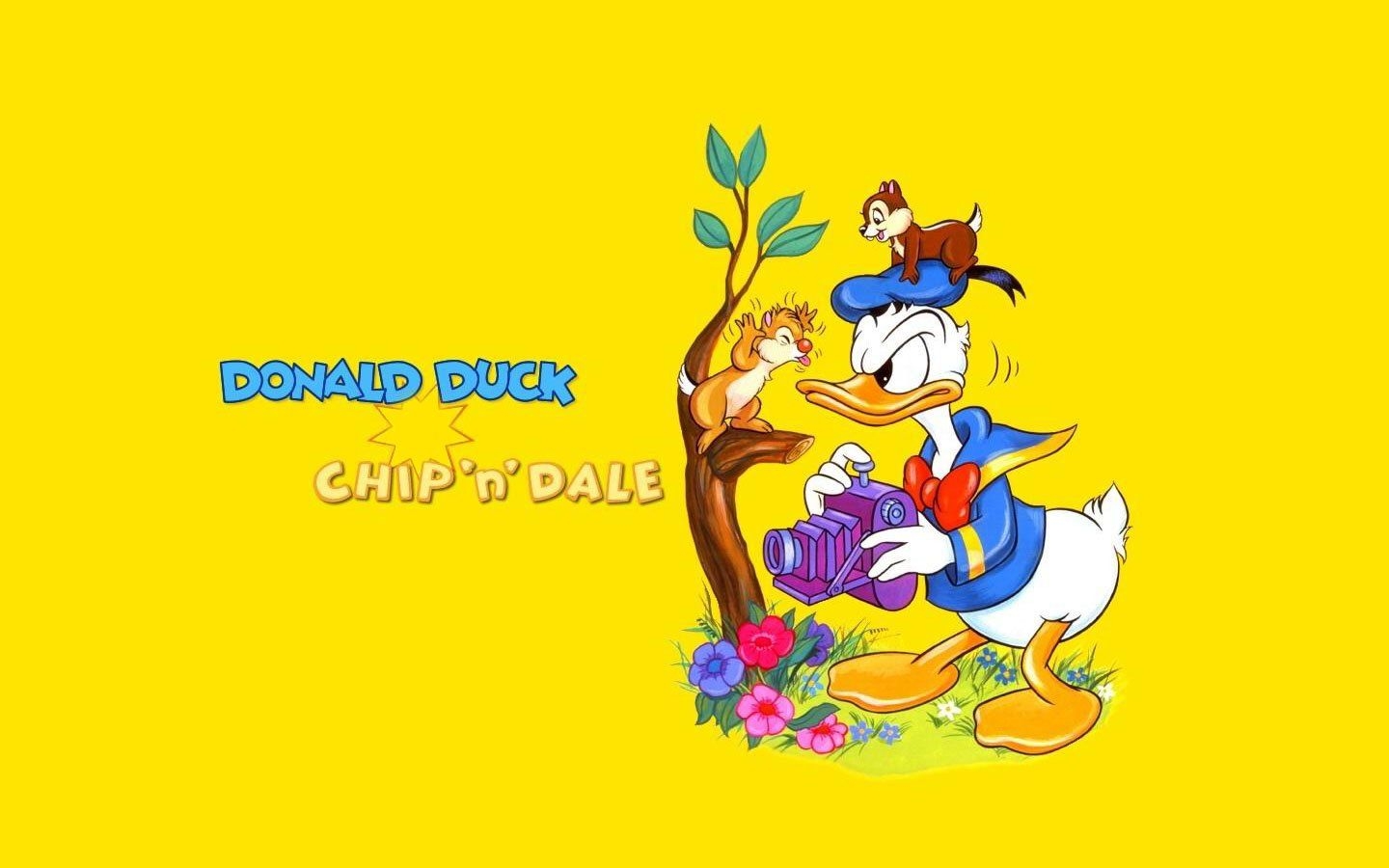 1440x900 donald duck Wallpaper and Background Imagex900, Desktop