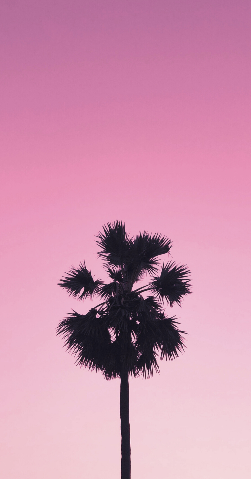 840x1600 Pink Aesthetics. Wallpaper for iPhone, feel the pink vibes! - Pink vibes, iPhone background pink, Galaxy wallpaper, Phone