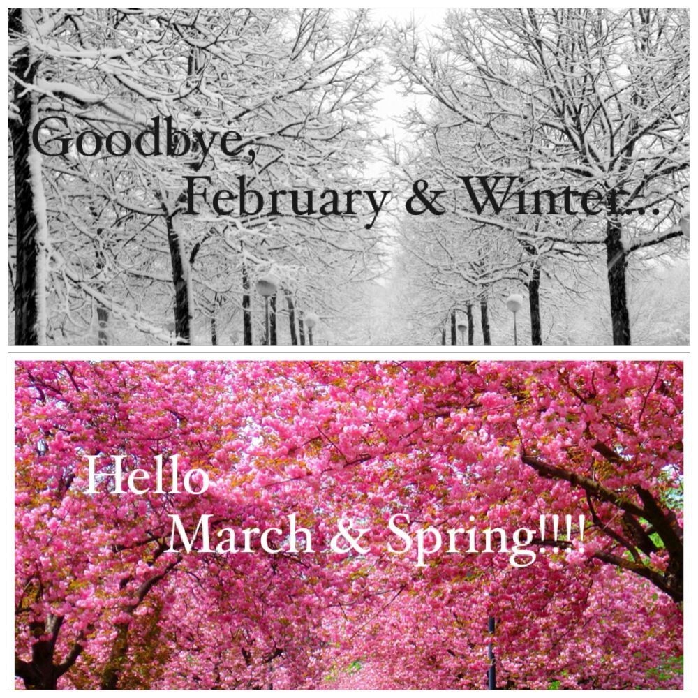 1000x1000 Goodbye February & Winter.Hello March & Spring!!!! #winter #spring. Hello march, March quotes, February quotes, Phone