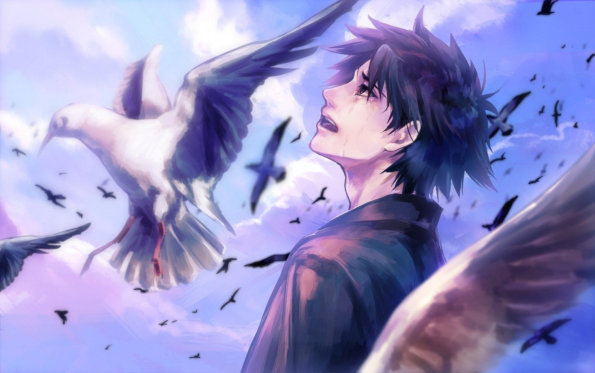 1920x1210 anime, Boy, Cry, Bird, Clouds, Sky Wallpaper HD / Desktop, Desktop