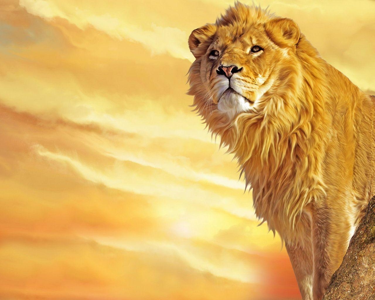 1280x1030 Face Fierce Lion. Fun Animals Wiki, Videos, Picture, Stories, Desktop