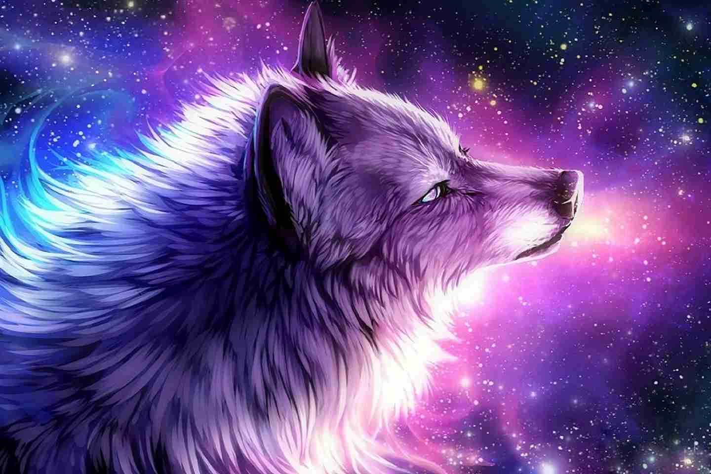 1440x960 Cute Galaxy Wolf Wallpaper, Desktop