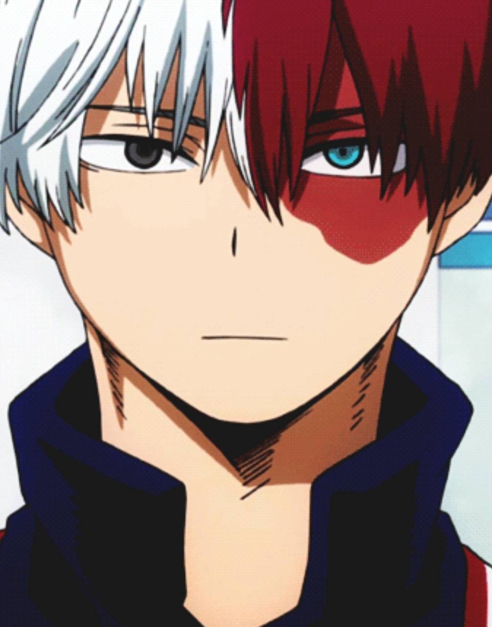 1010x1280 Shoto Todoroki Wallpaper, Phone