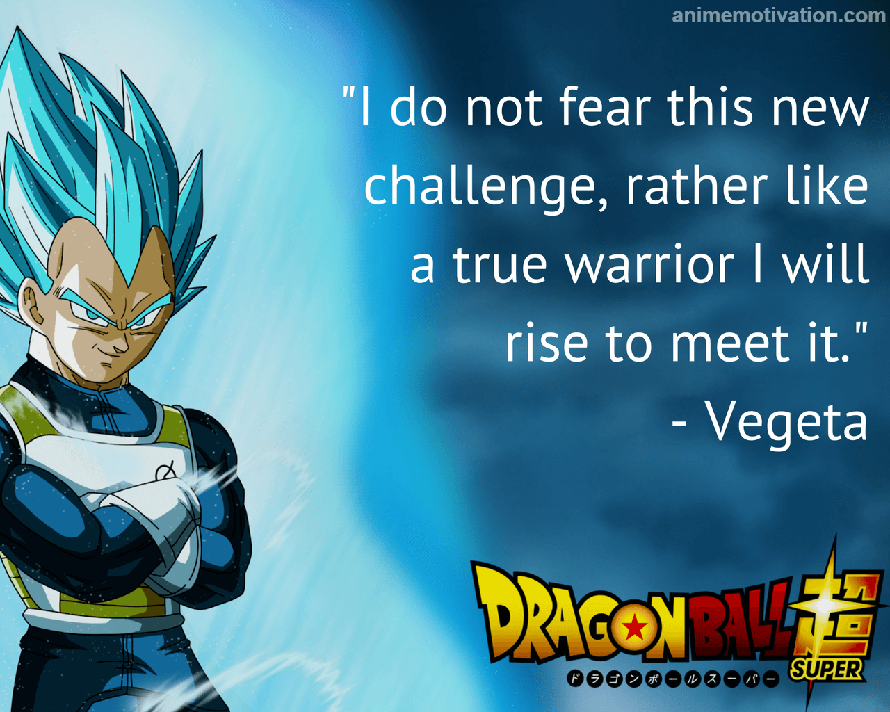 1280x1030 Inspirational Anime Wallpaper Ball Super Vegeta Quotes, Desktop