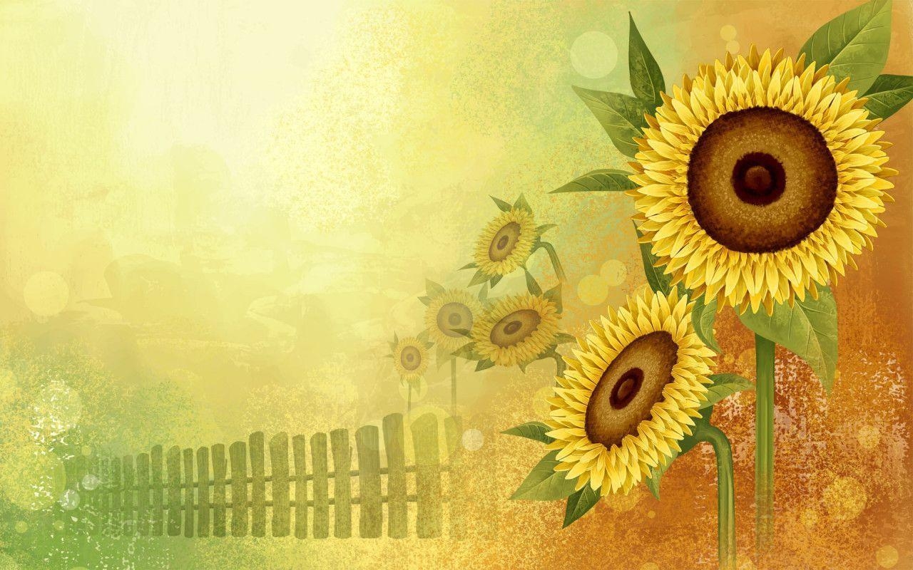 1280x800 Sunflower Wallpaper Border, Desktop