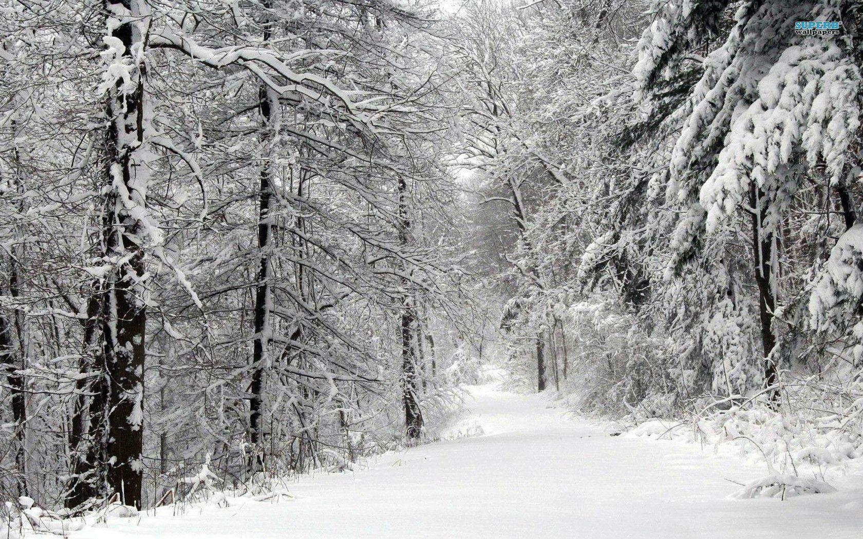 1680x1050 Snowy Road in the Forest wallpaper wallpaper - #, Desktop