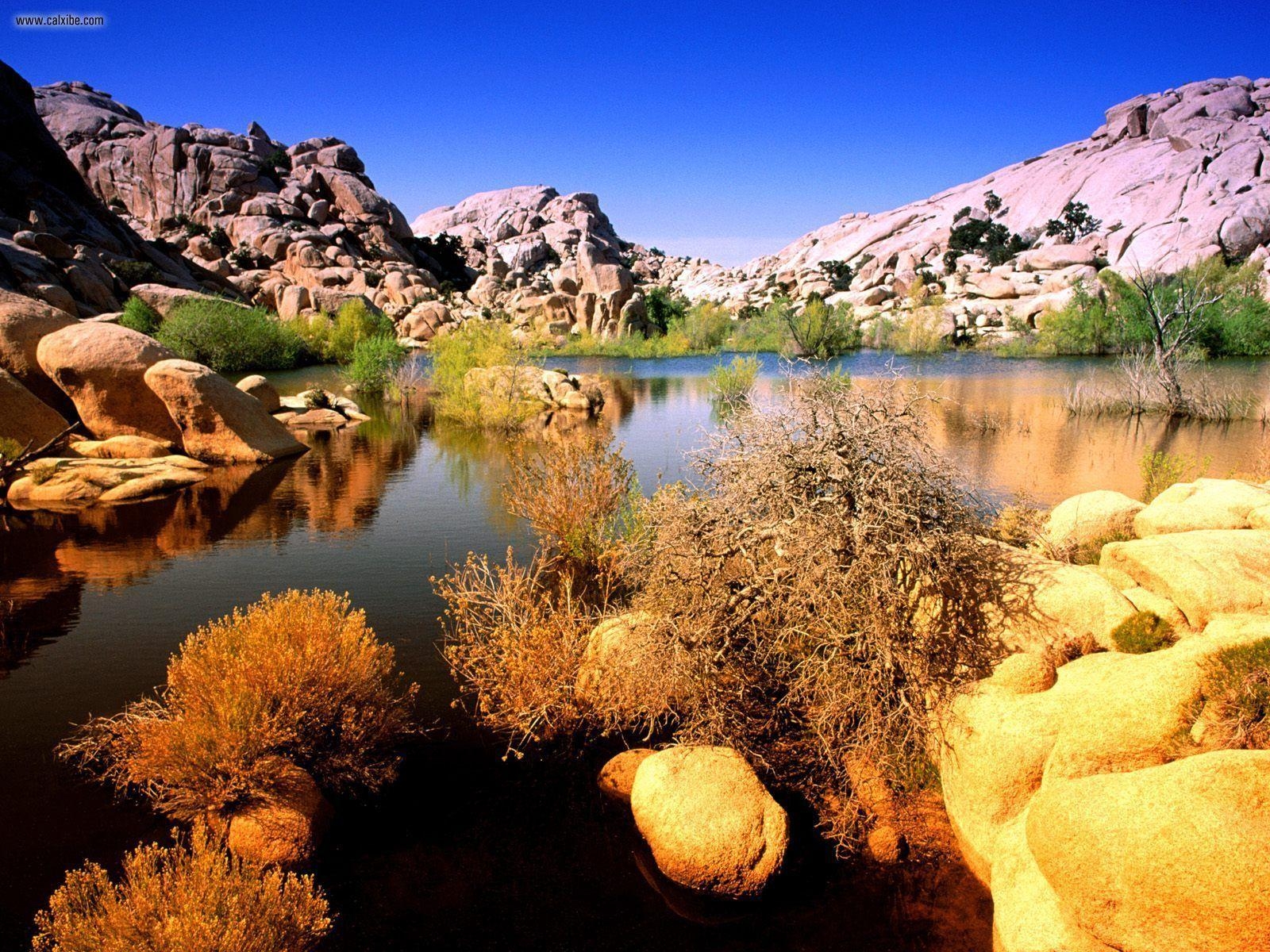 1600x1200 Nature: Technicolor Terrain Joshua Tree National Park, California, Desktop