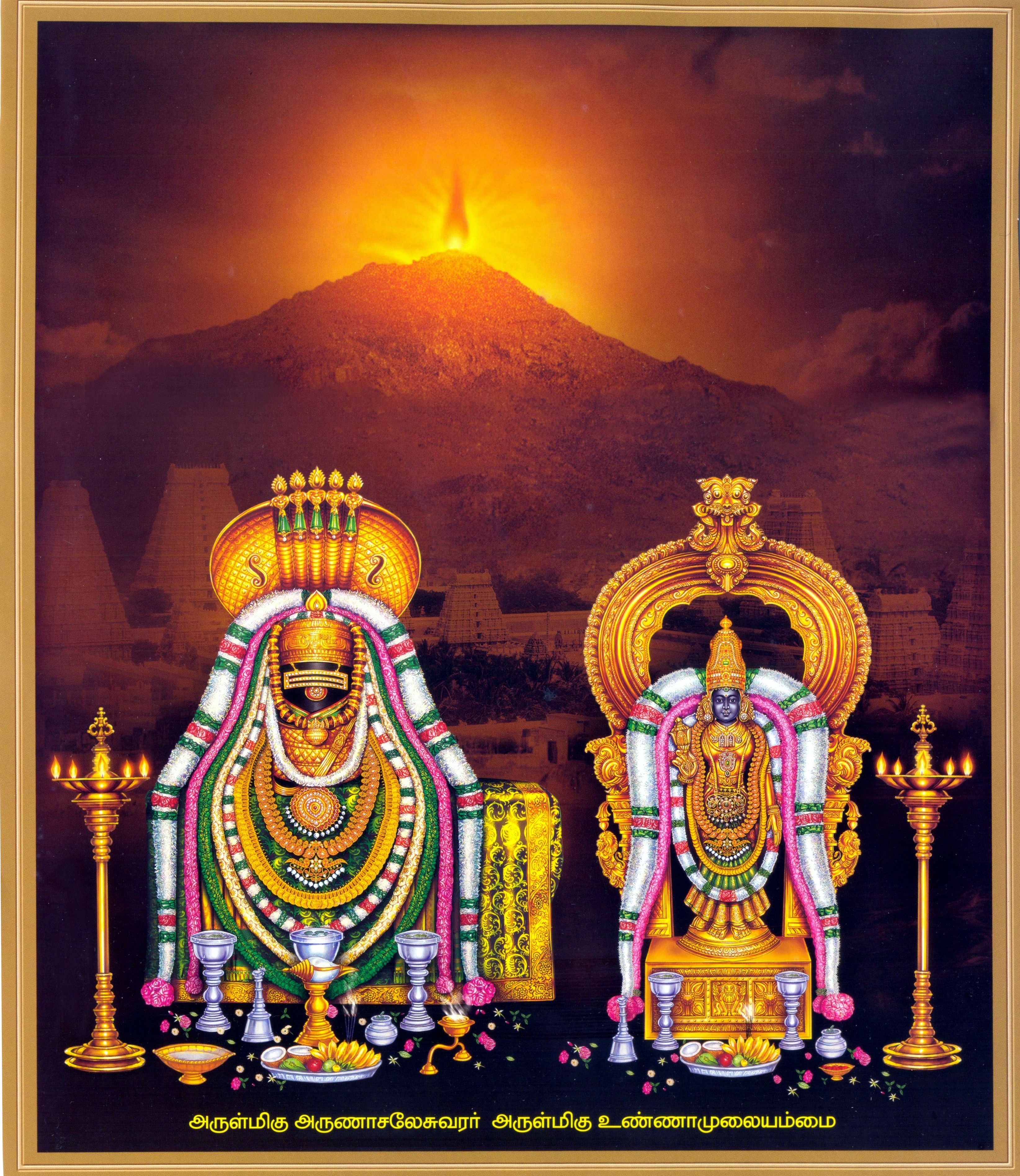 3290x3800 Thiruvannamalai. S.P.I.R.I.T.U.A.L M.I.N.D.S, Phone