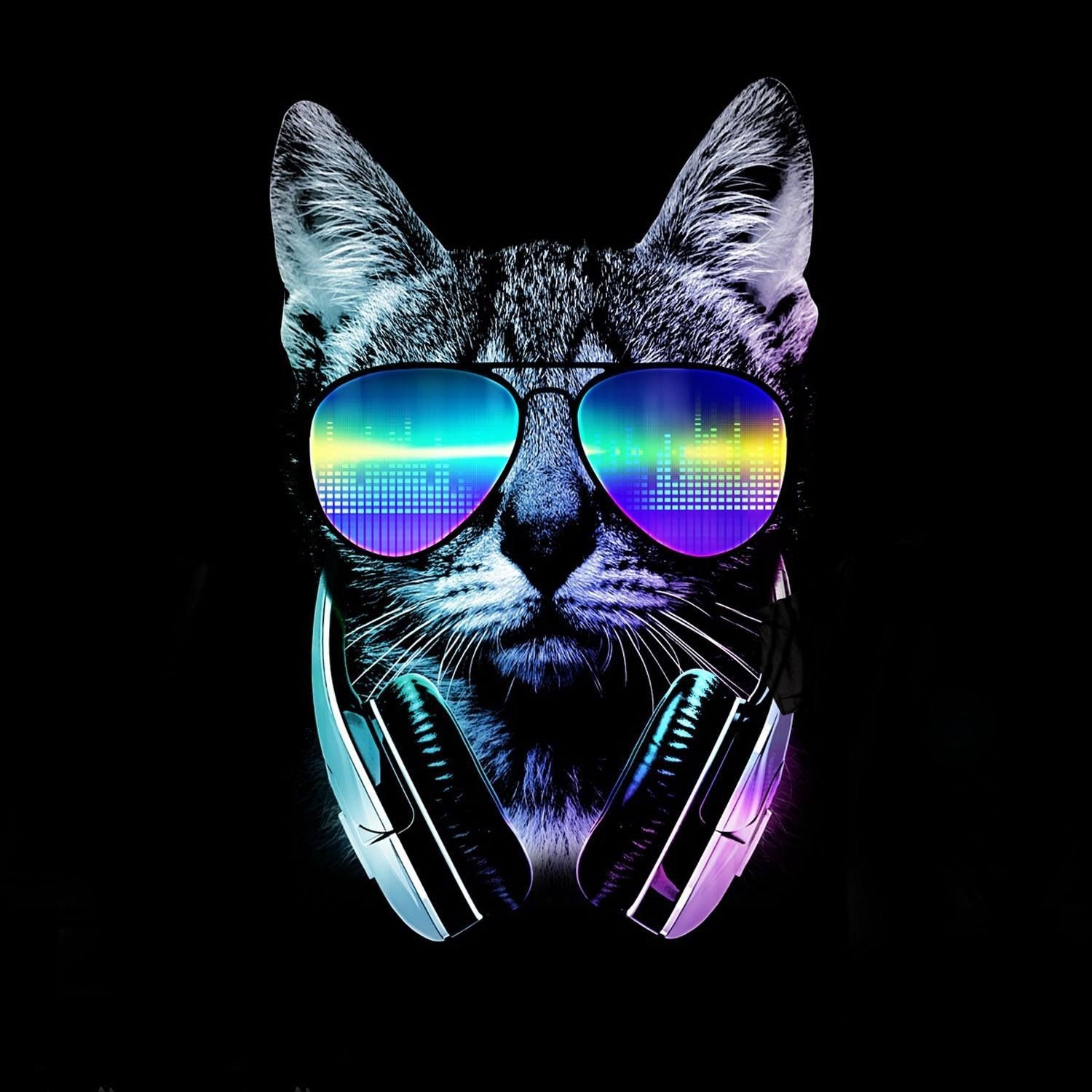 1500x1500 nice :). Cool cats, Wallpaper, Music lovers, Phone