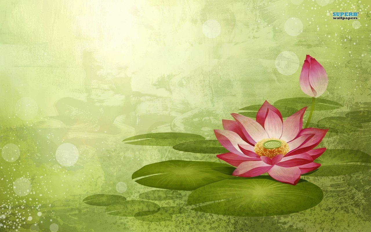 1280x800 Water Lily wallpaper wallpaper - #, Desktop