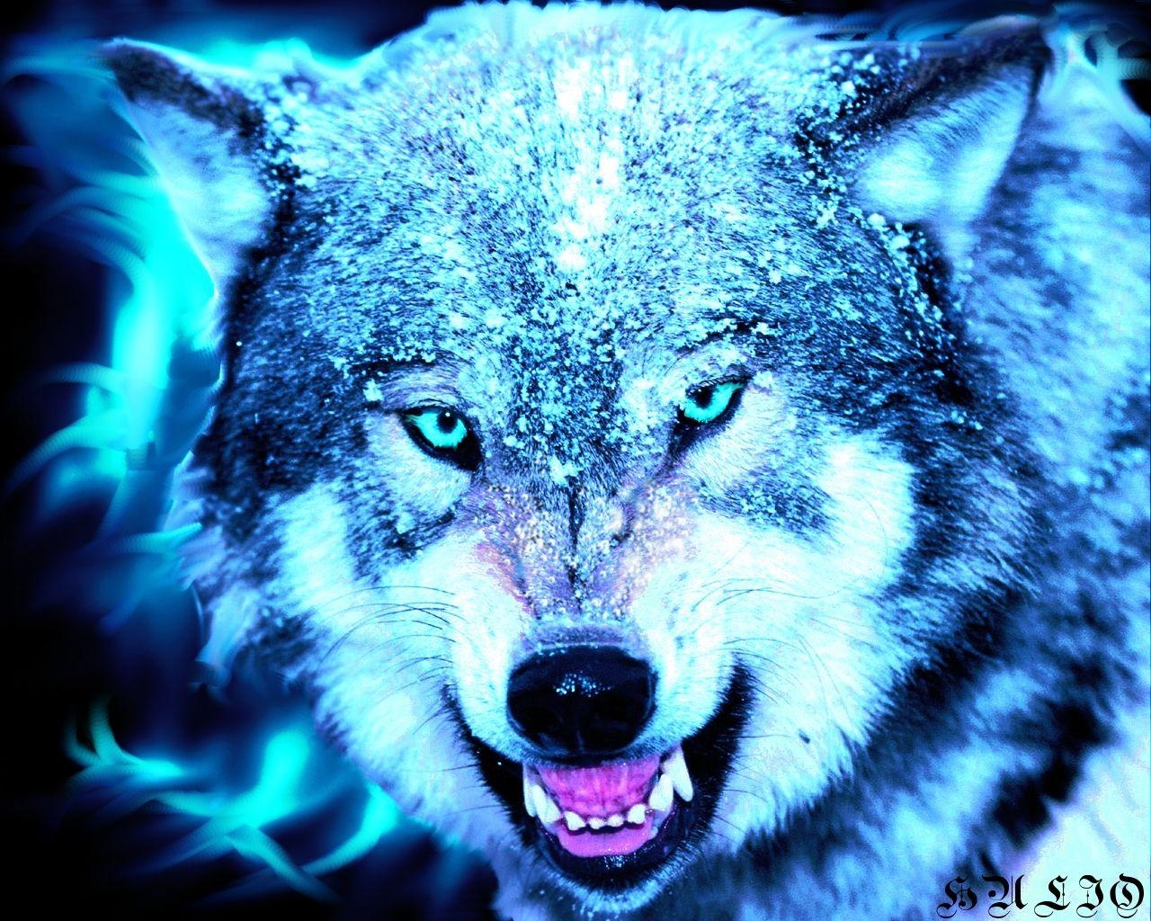 1280x1030 Wolf Wallpaper, Desktop