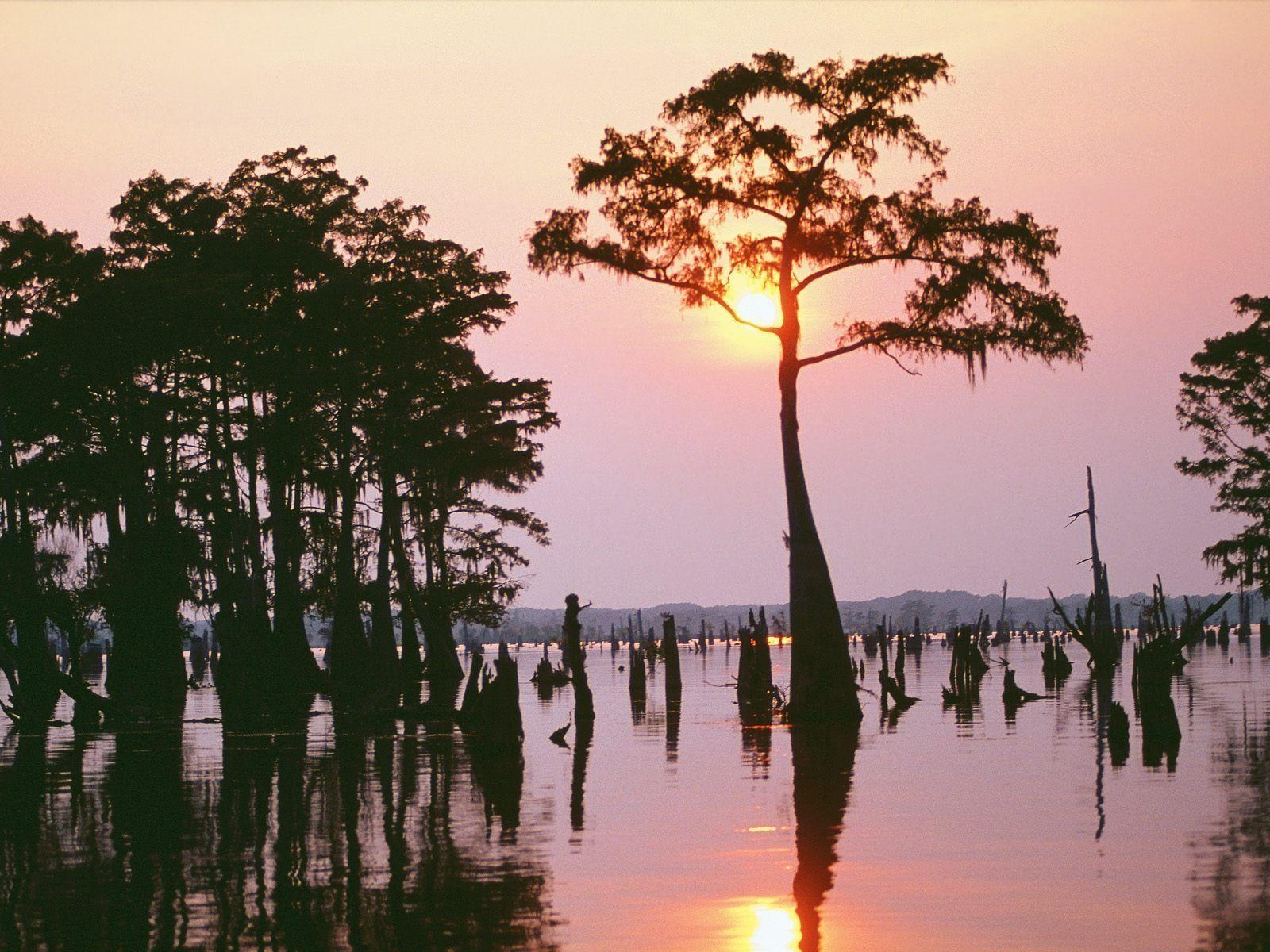 1600x1200 Louisiana Image Louisiana Wallpaper Atchafalaya Bayou HD, Desktop