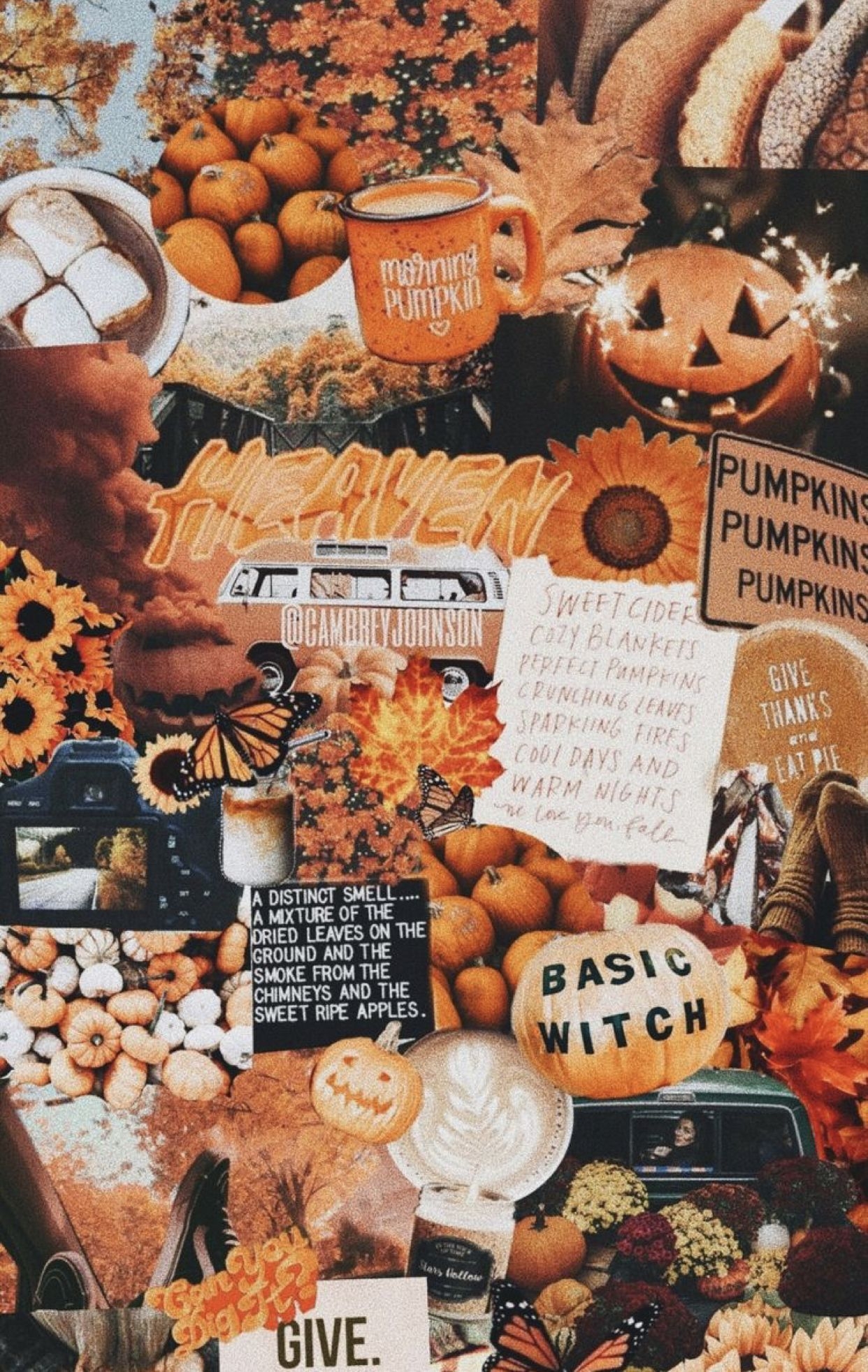 1250x1970 Halloween Fall Autumn Phone Wallpaper Vsco Girl. IPhone Wallpaper Fall, Fall Wallpaper, Halloween Wallpaper, Phone