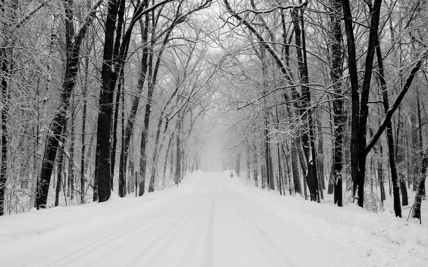 1440x900 Walking in a Winter Wonderland. Stebbins Couture, Desktop