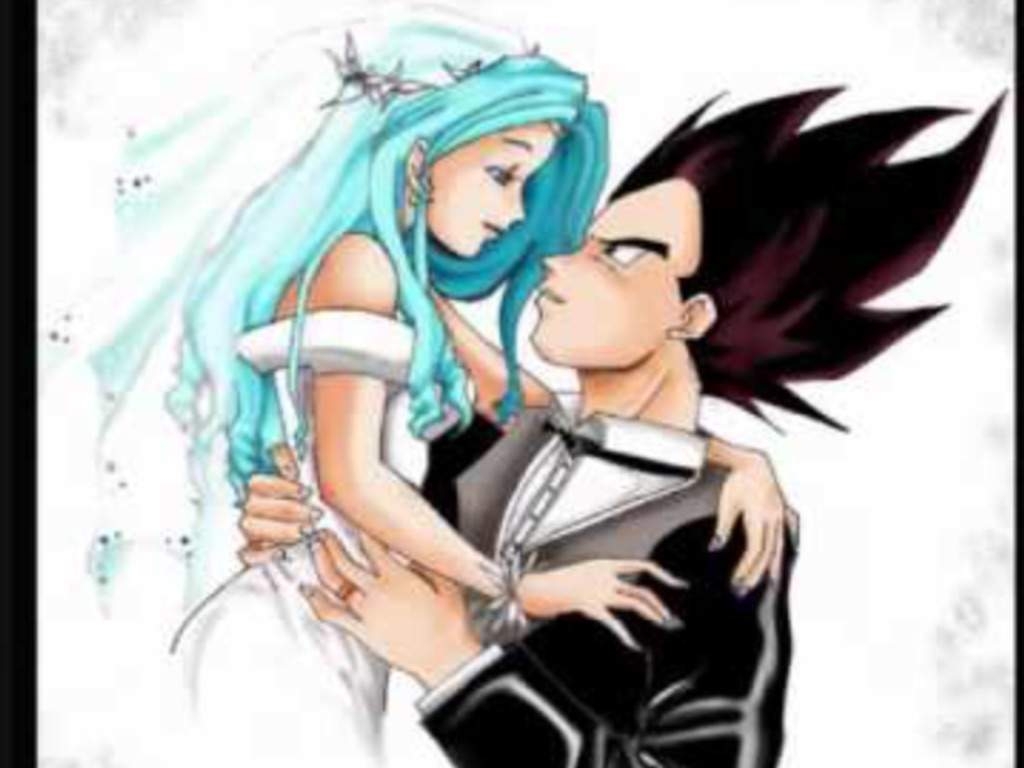 1030x770 Vegeta and Bulma wedding photo, Desktop