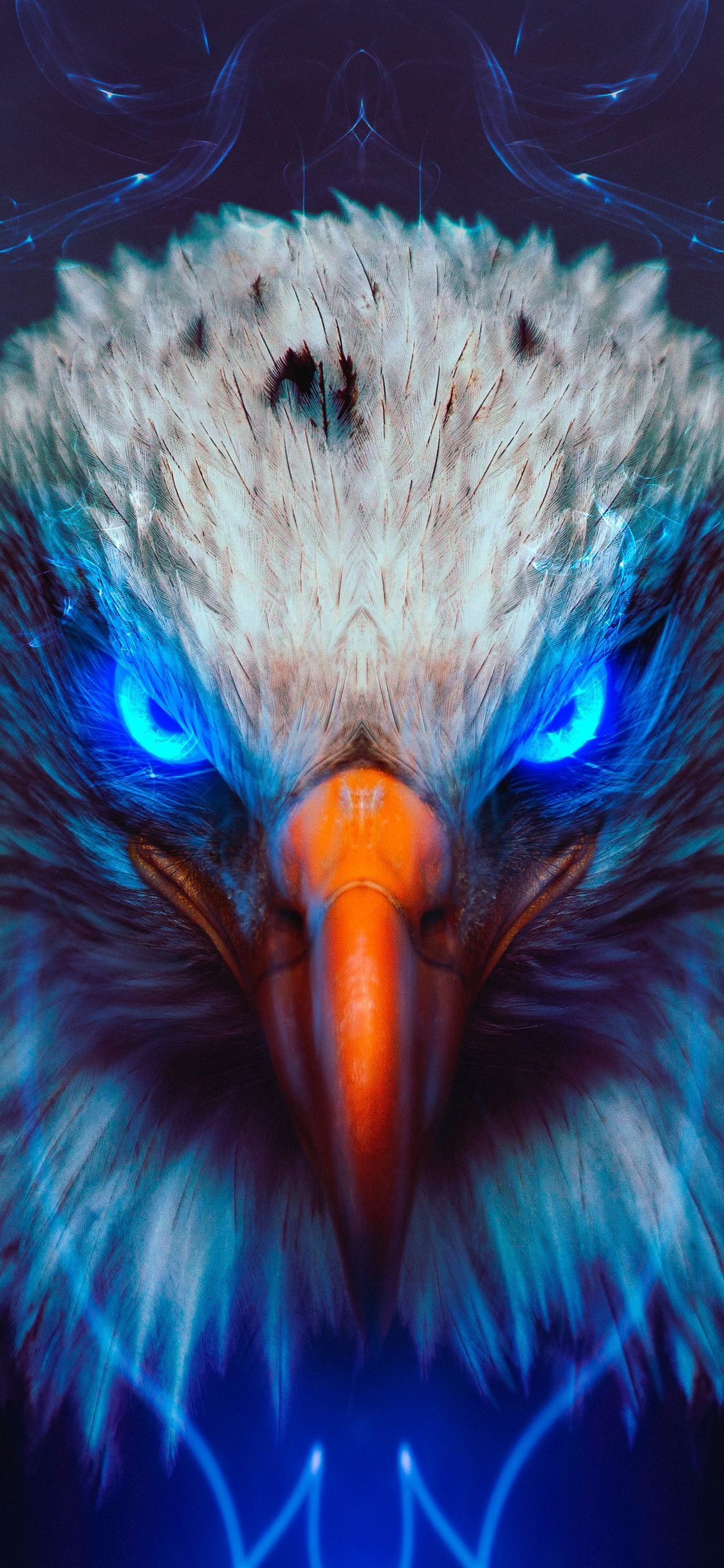 1130x2440 Eagle Eye iPhone XS, iPhone iPhone X HD 4k Wallpaper, Image, Background, Photo and Picture, Phone