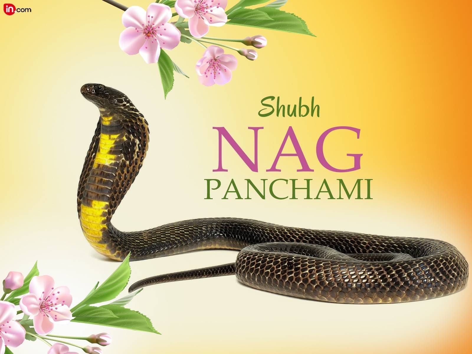 1600x1200 Top Nag Panchami Gogo Maharaj HD Wallpaper and Photo collection, Desktop