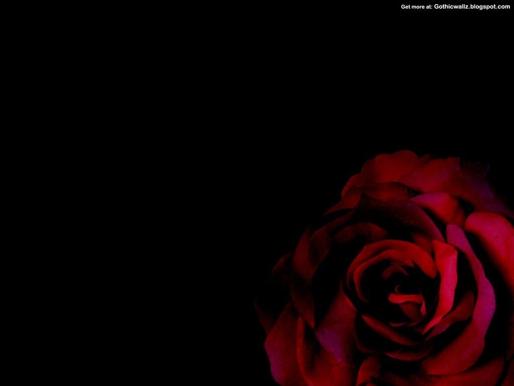 1030x770 Free download Gothic Rose Dark Gothic Wallpaper FREE Gothic, Desktop