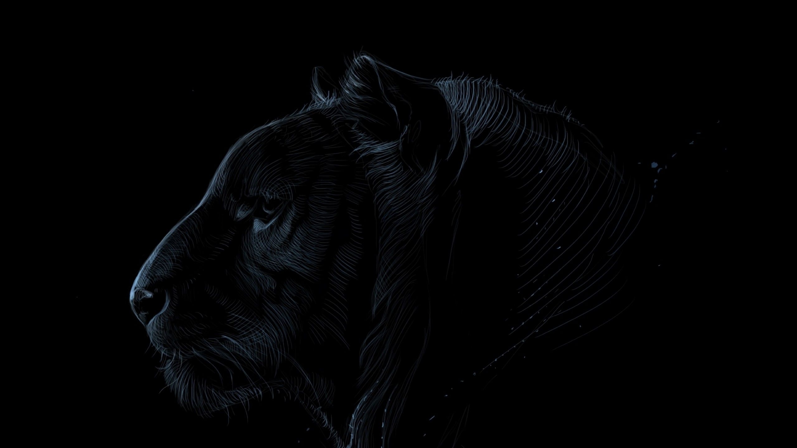 2560x1440 Dark tiger face HD Wallpaper Youtube Cover Photo Wallpaper.net, Desktop