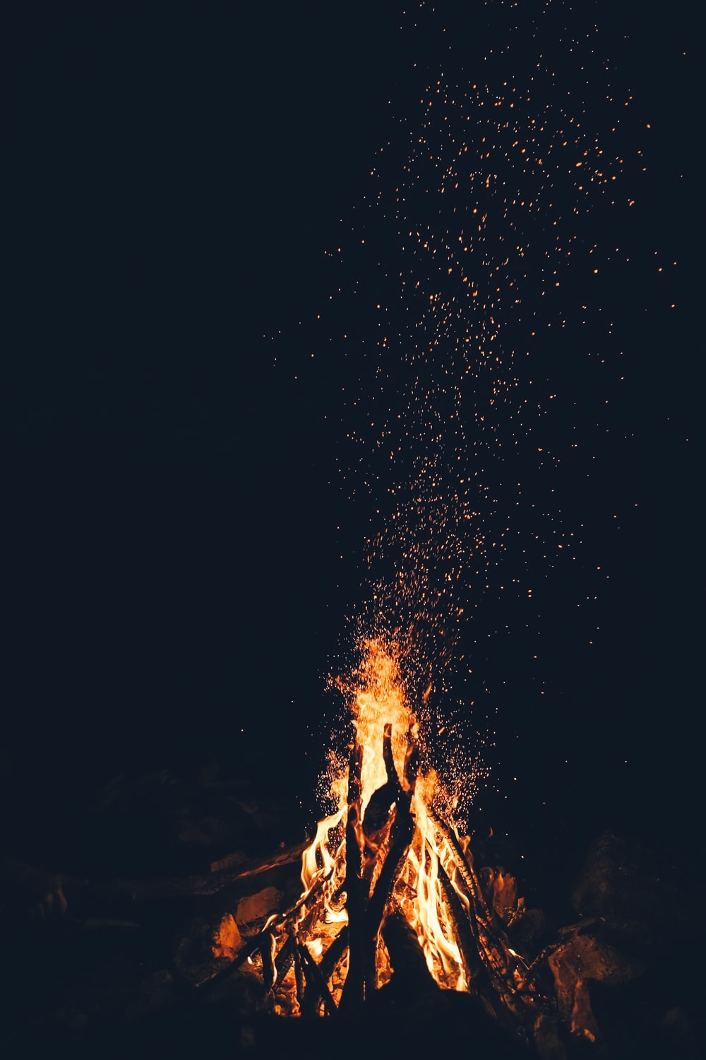 1000x1500 selective focus photography of marshmallows on fire pit photo, Phone