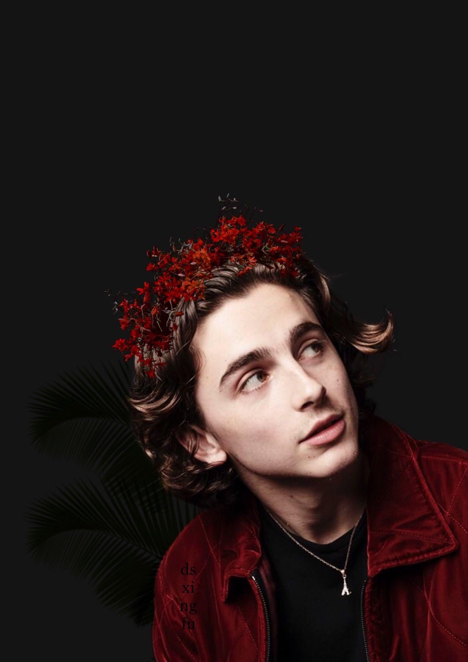 1530x2170 Timothèe Chalamet lockscreen. elio in 2019, Phone