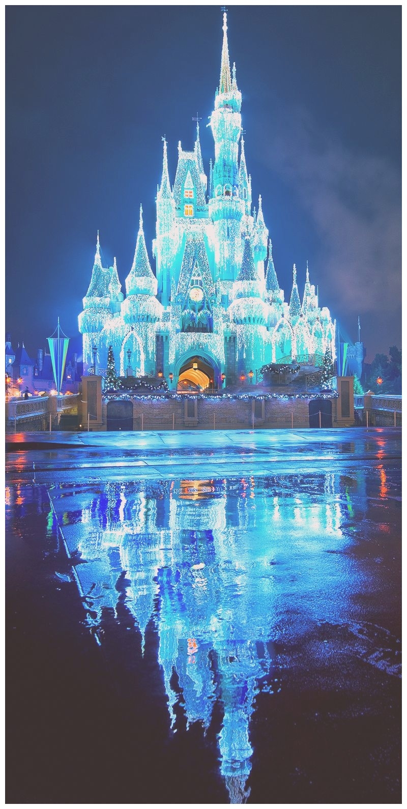 800x1590 Disney World iPhone Wallpaper HD World, Cinderella Castle Wallpaper & Background Download, Phone