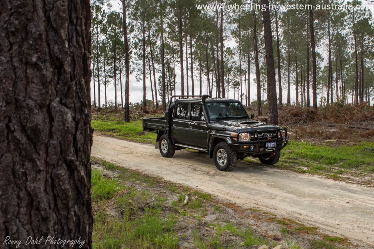 1200x800 series Landcruiser V8 Turbo Diesel Dual cab Ute Review, Desktop