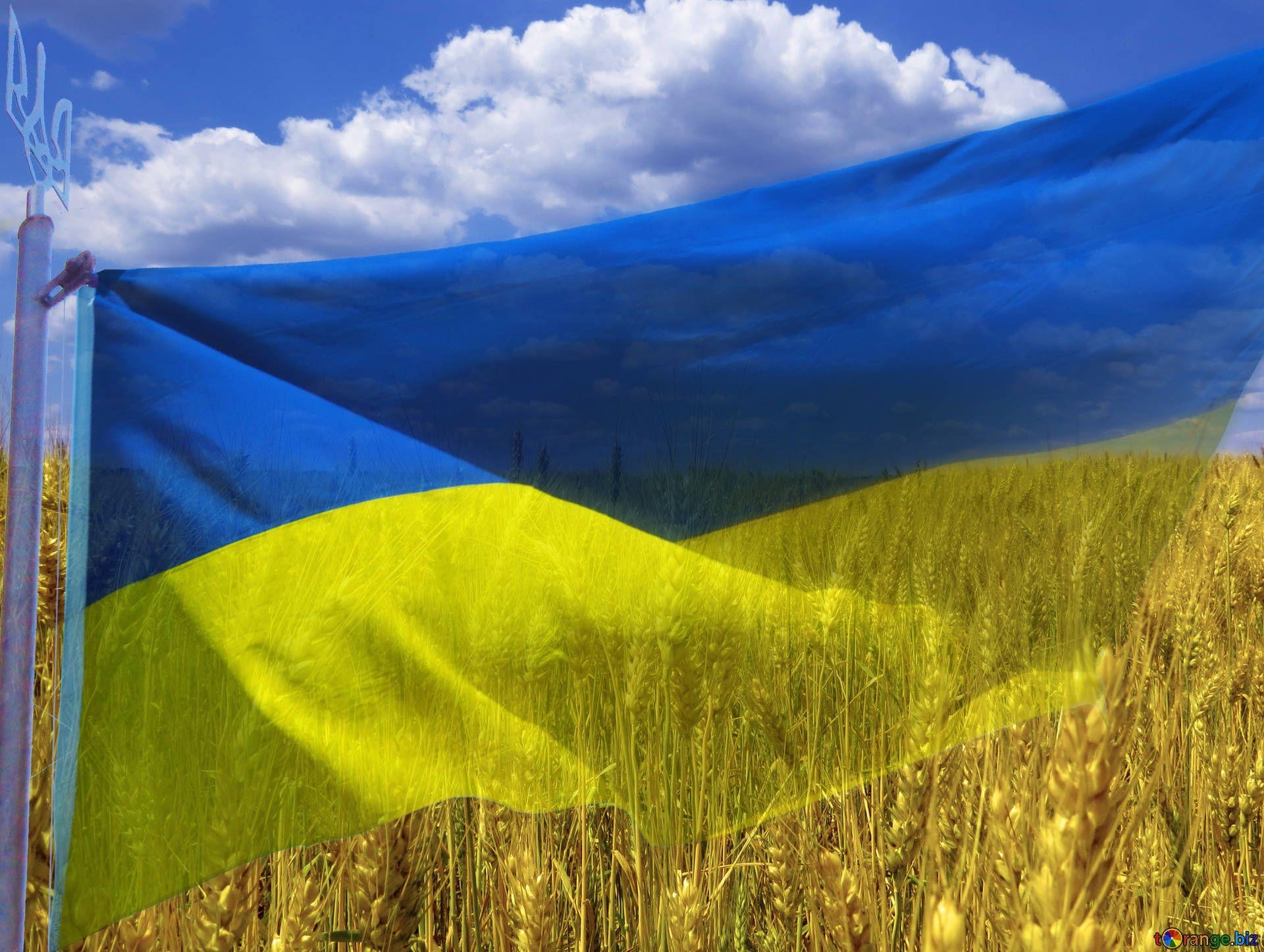 1920x1450 Ukraine Flag № 33620, Desktop