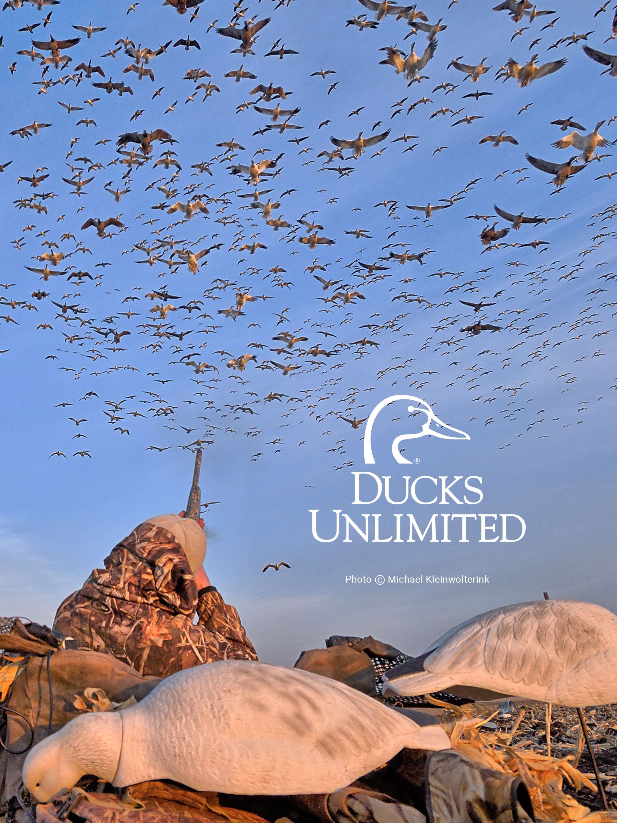 2050x2740 Ducks Unlimited Mobile Wallpaper, Phone