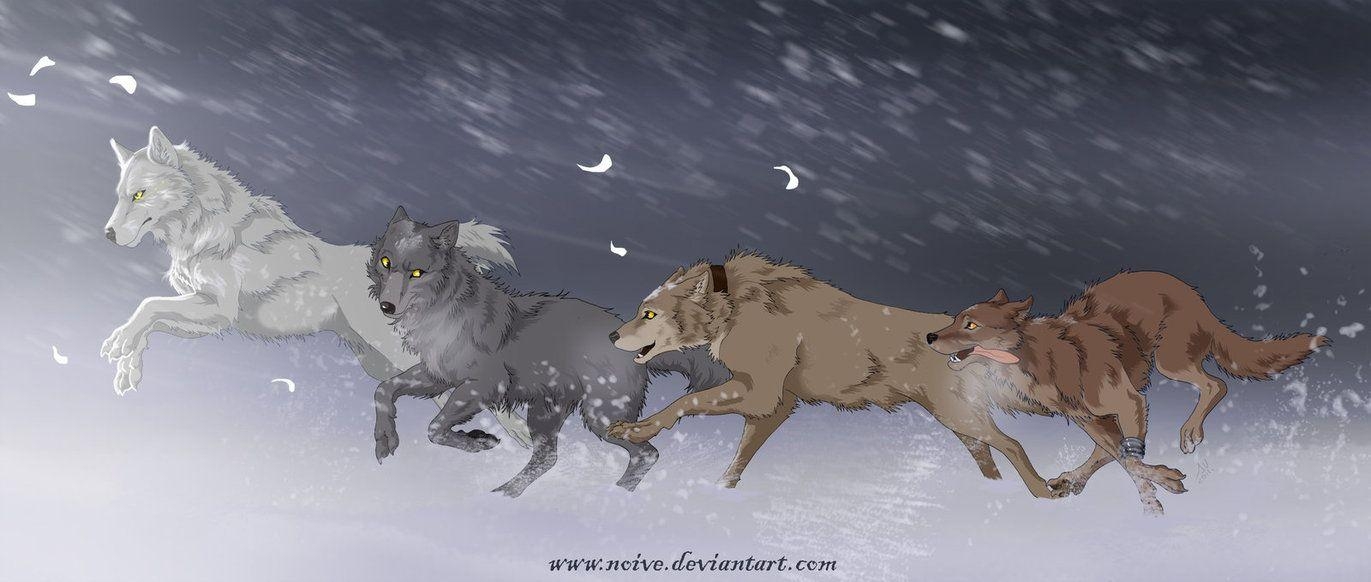 1380x590 Wolfs Rain. Anime, Dual Screen