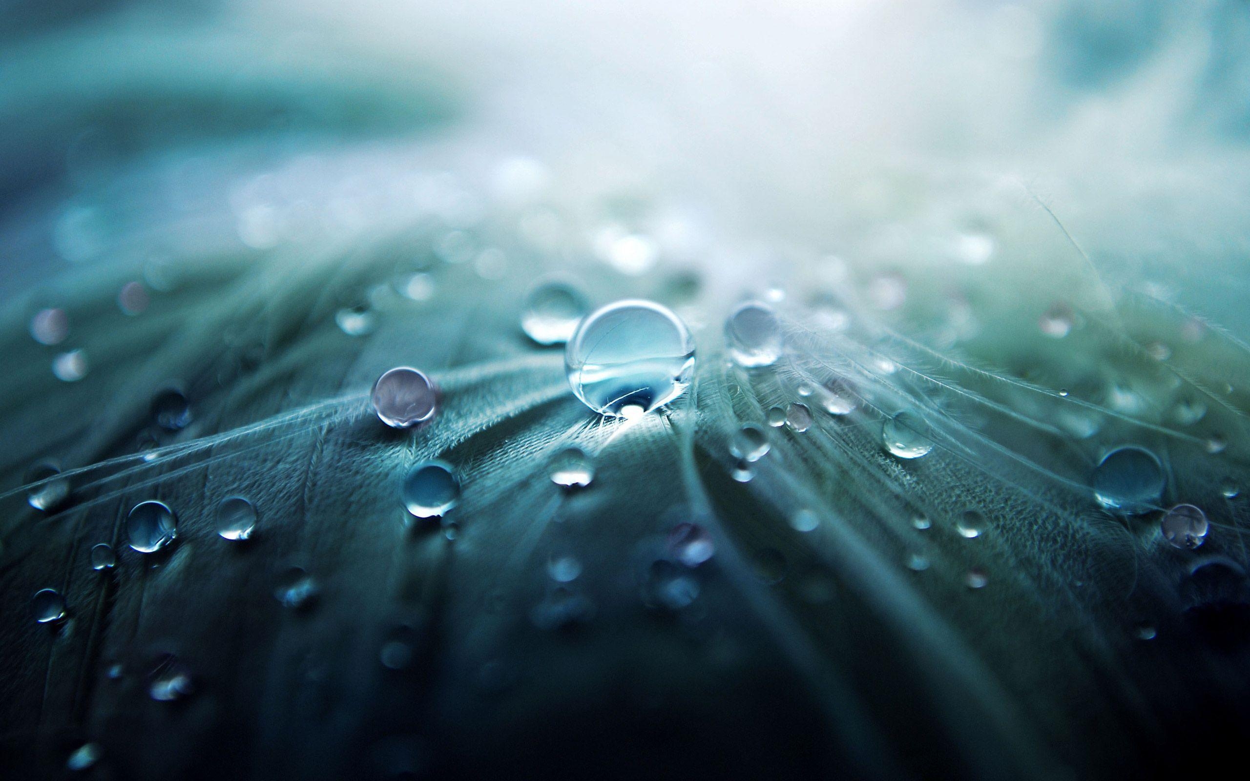 2560x1600 Water Drops Wallpaper Full HD, Desktop