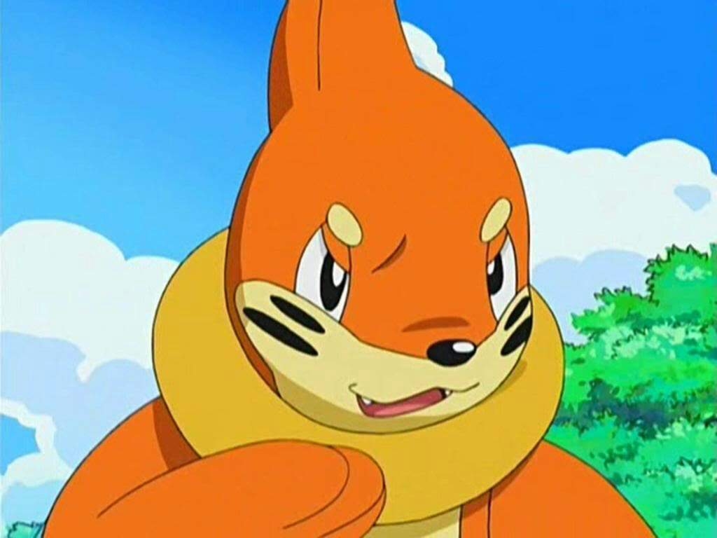 1030x770 Buizel. Pokémon Amino, Desktop