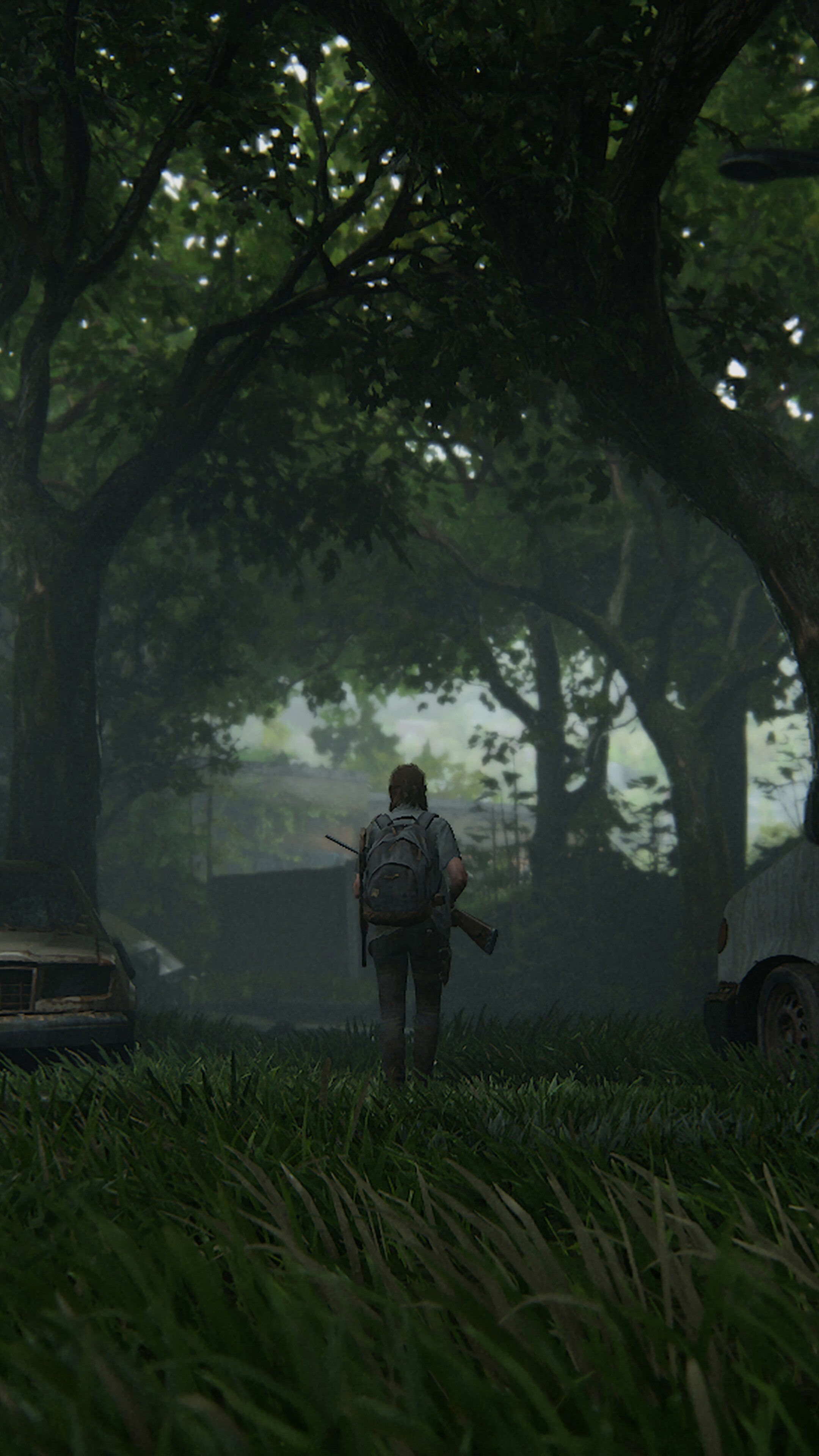 2160x3840 Last Of Us 2 iPhone Wallpaper, Phone