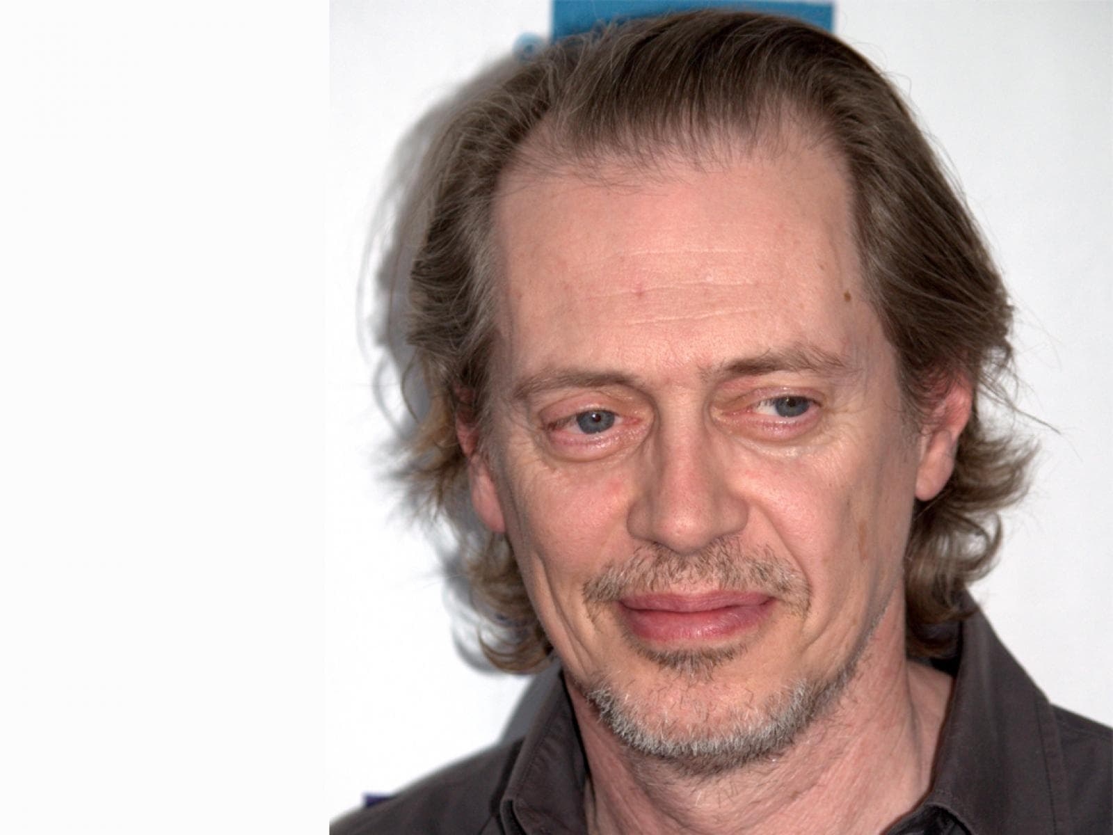 1600x1200 Steve Buscemi HD Wallpaperwallpaper.net, Desktop