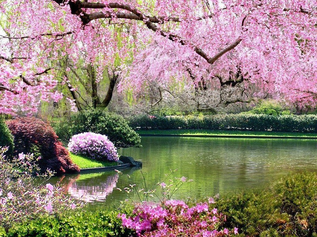 1030x770 Fiolex Free Image Gallery: Springtime, Desktop