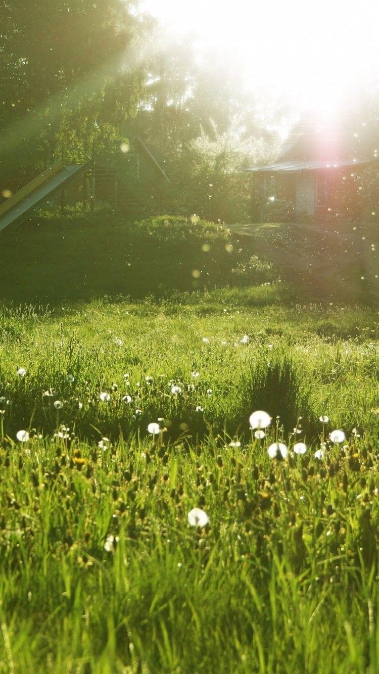 750x1340 Spring Meadow Pink Nature Purple Flowers Field Flower Day, Phone