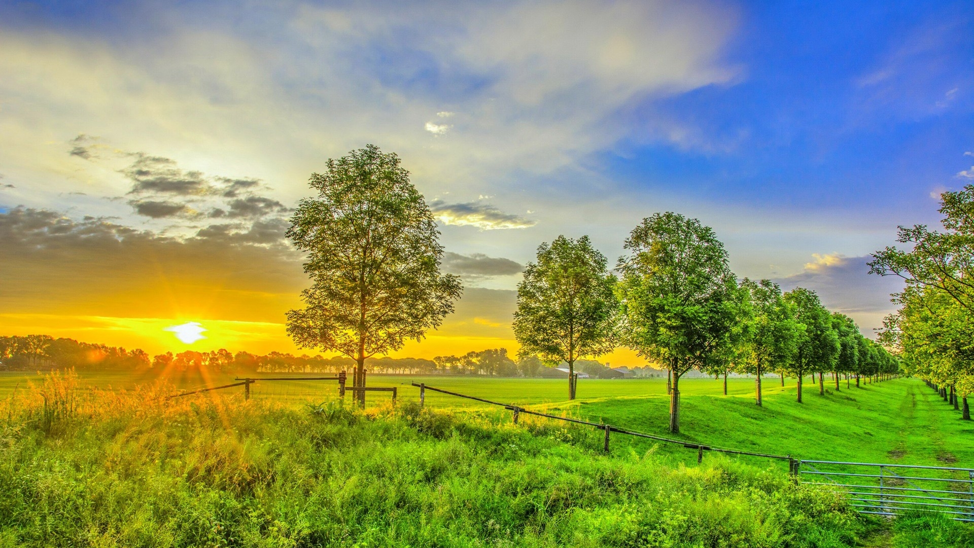 1920x1080 Nature Sunrise Field Green Grass Trees Sky HD Wallpaper, Desktop