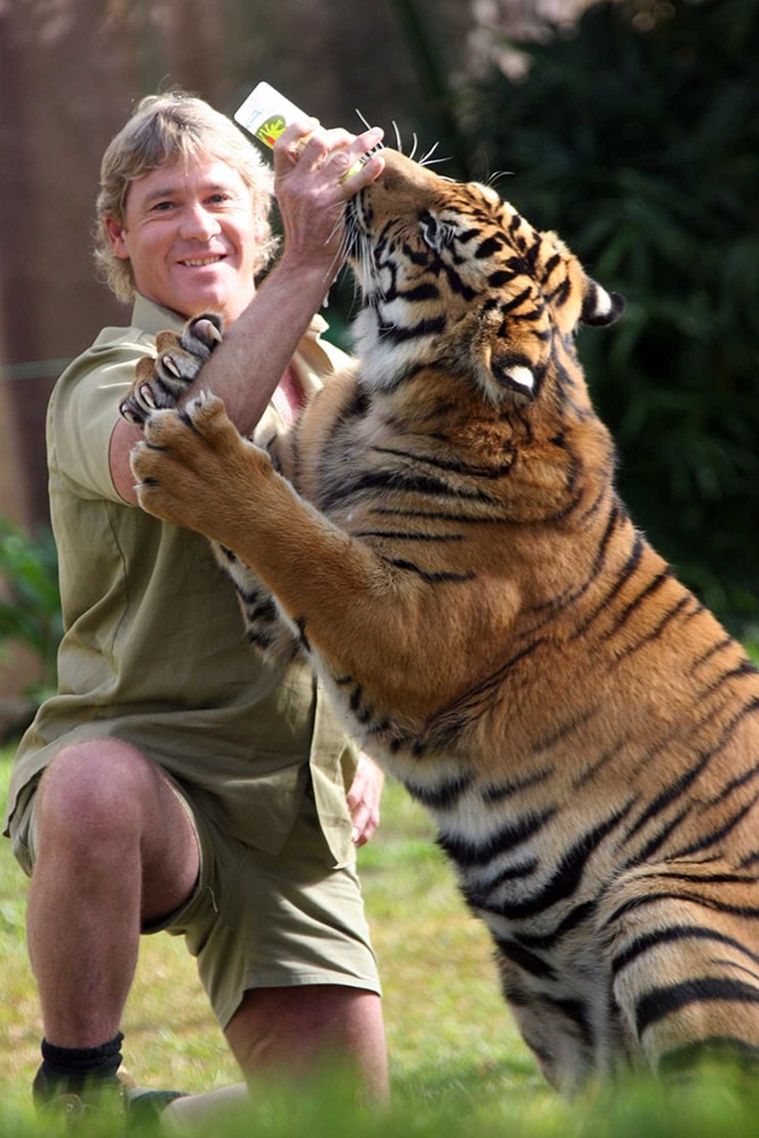 1490x2230 celebridades que murieron jóvenes imágenes Steve Irwin HD fondo de, Phone